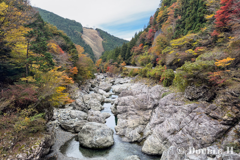 TediousPhoto20251130B