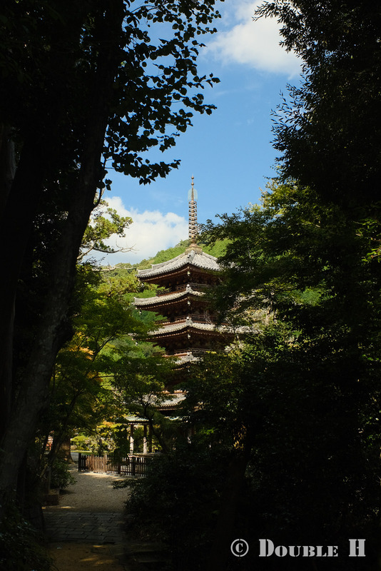 TediousPhoto20241017