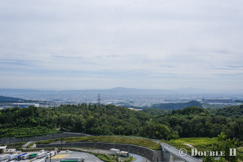 TediousPhoto20250608G