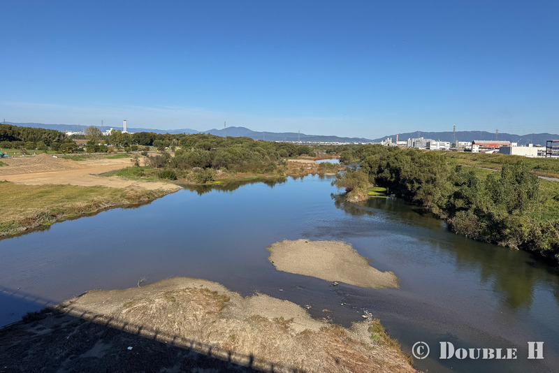 TediousPhoto20251119M