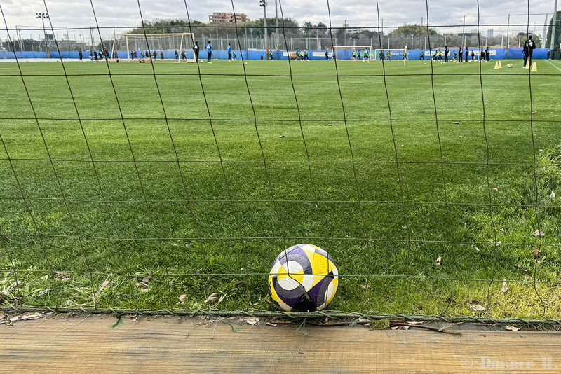 TediousPhoto20260109