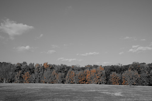 X-E2_37EffectPartColorOrange