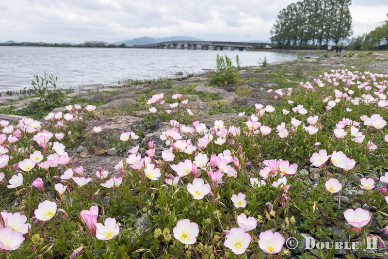 TediousPhoto20260512B