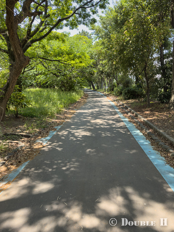202605Cycling2YaguraPark04