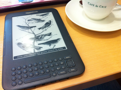 Kindle3 at Cafe 1