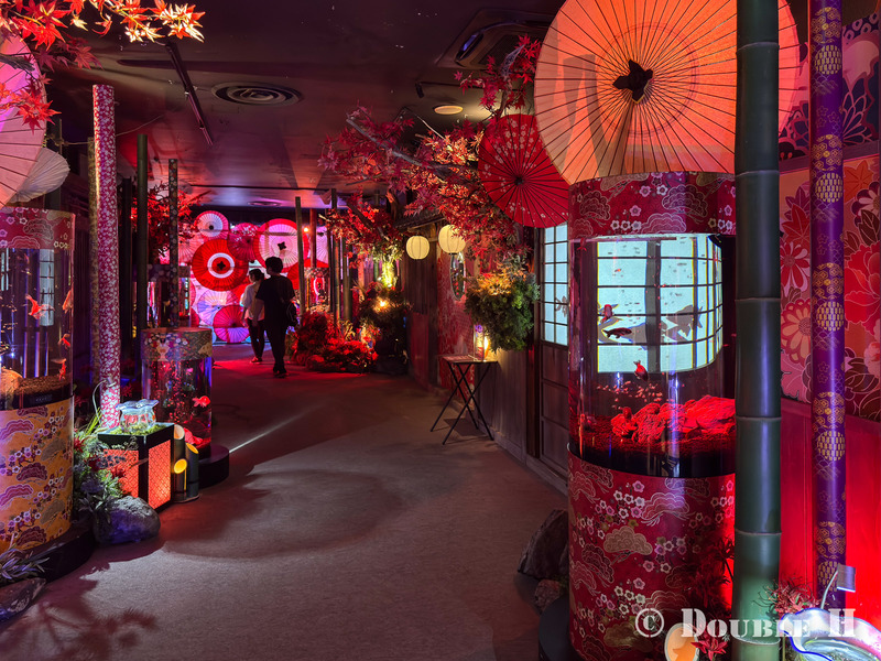 TediousPhoto20260727F