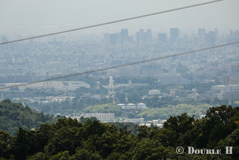 TediousPhoto20250608O