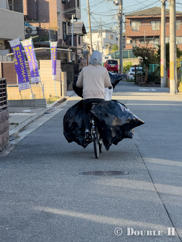 TediousPhoto20240422