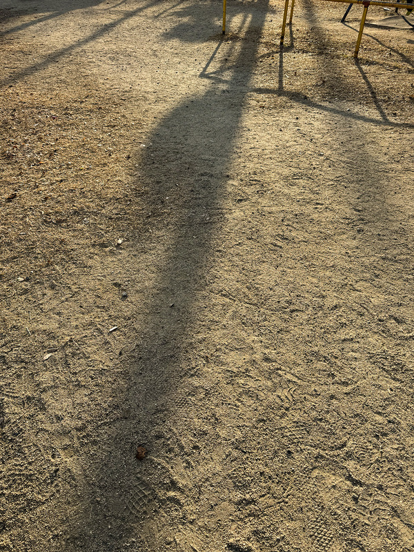 TediousPhoto20260105