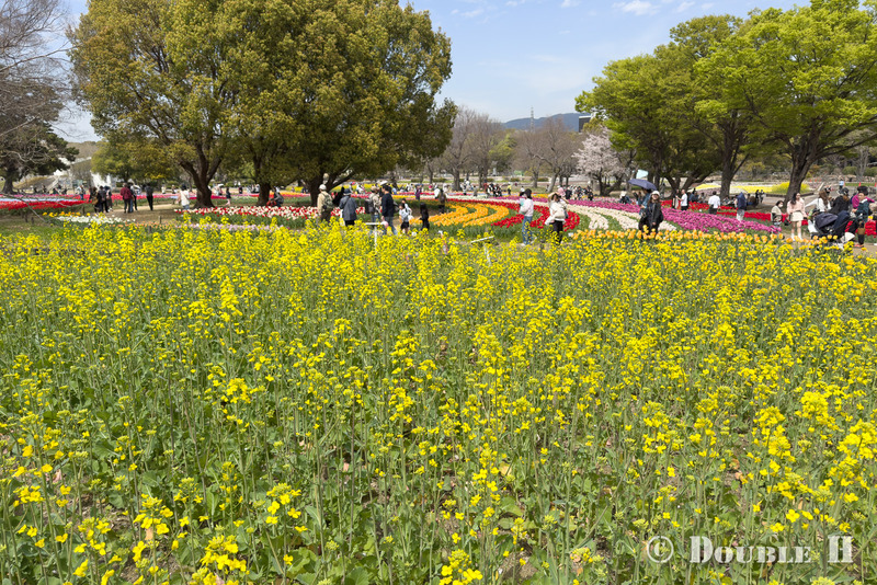 TediousPhoto20260410F