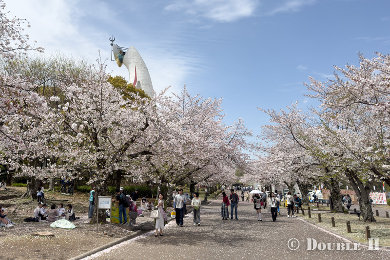 TediousPhoto20260410B