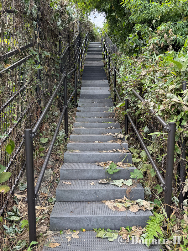 TediousPhoto20250608P