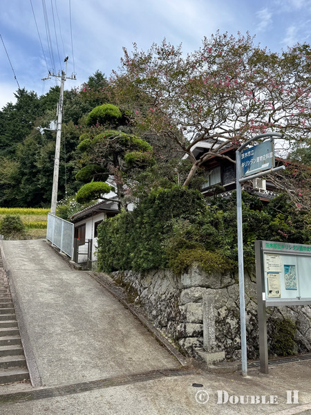 TediousPhoto20250607B