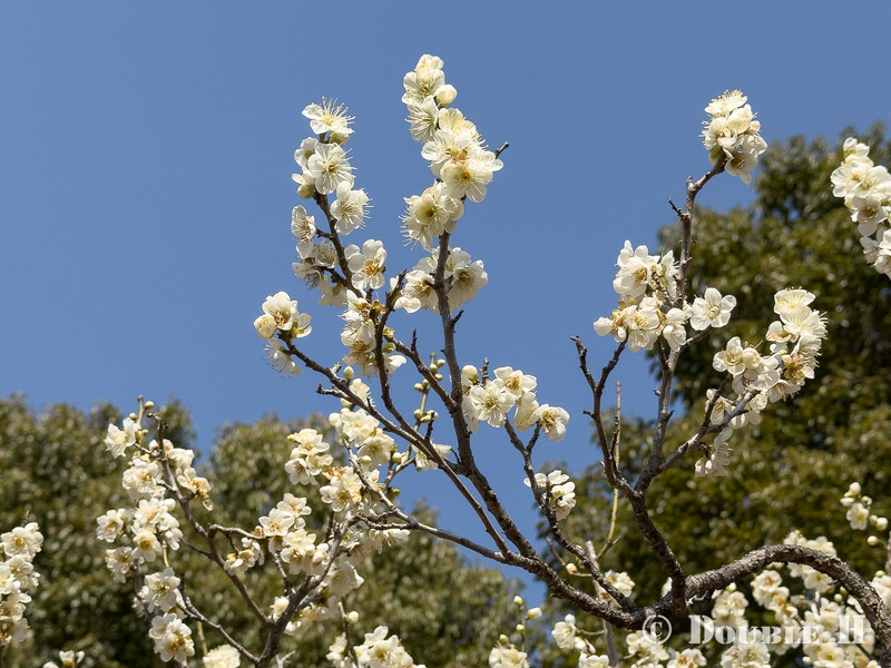 TediousPhoto20260214A