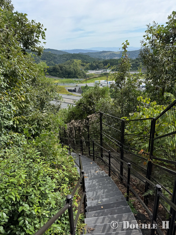 TediousPhoto20250608C