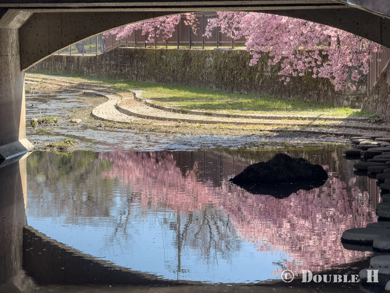 TediousPhoto20260313C