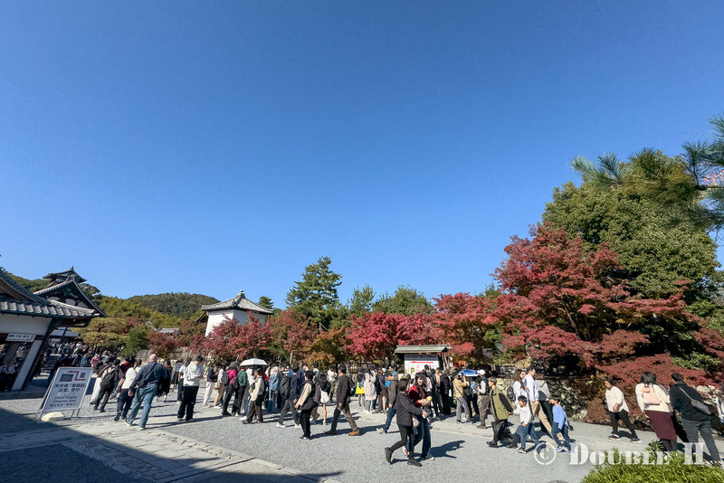 TediousPhoto20251115B