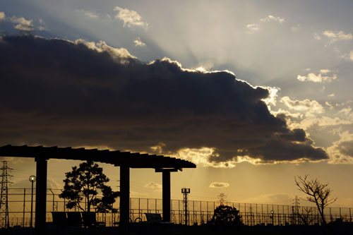 NEX7sample19s