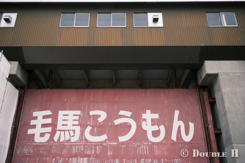 TediousPhoto20240208