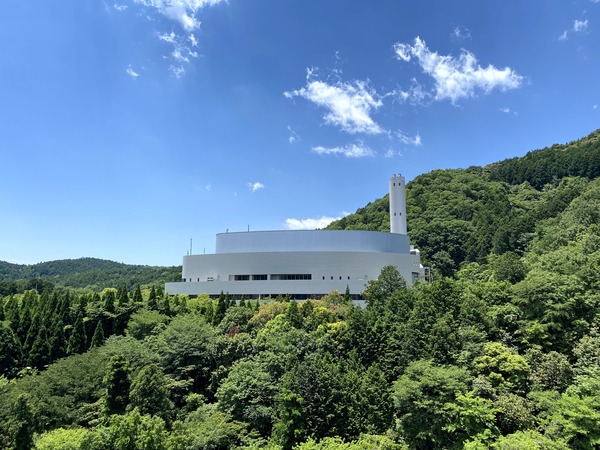 Jelly2JP_45B_iPhone11Pro