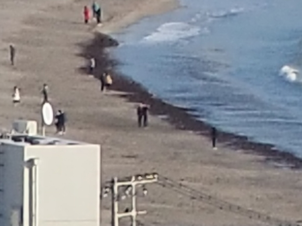 EM10M2sampleDTele1Zoom