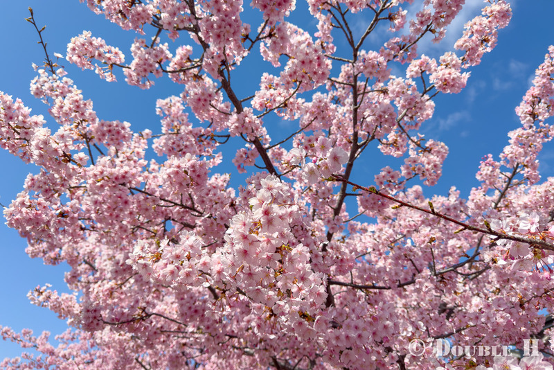 TediousPhoto20260313B