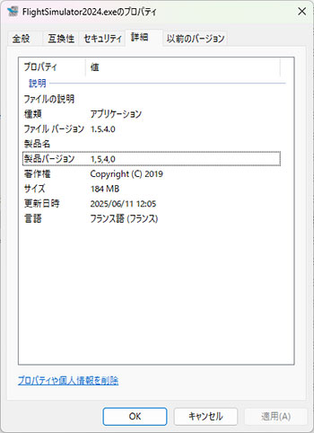 MSFS2024_202506_31