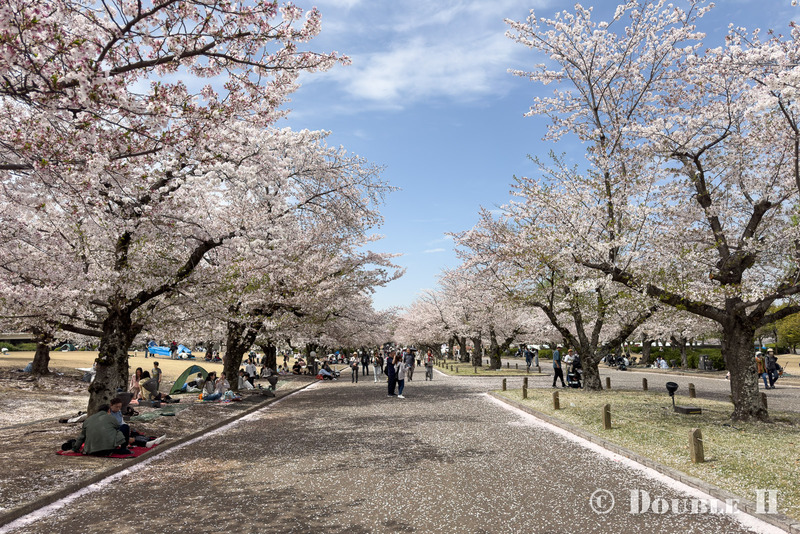 TediousPhoto20260410A