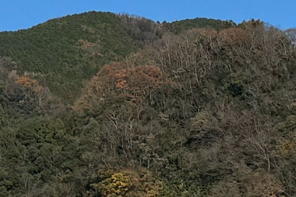 razr40PhotoSample1C_15ProMax_Trim1