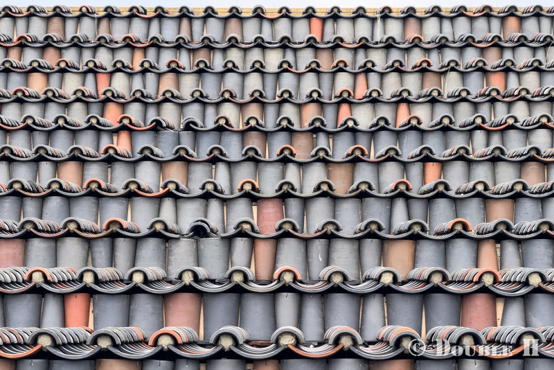TediousPhoto20260719L
