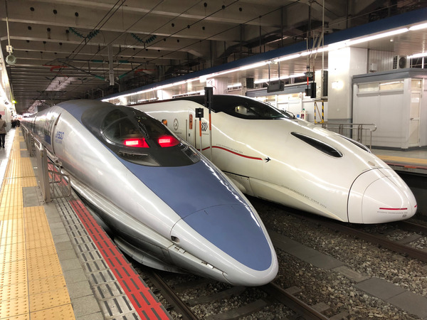 P10lite_Photo05B