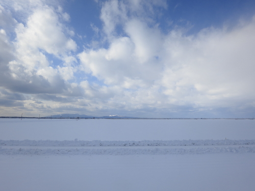 PowerShotS100_3month_sample01s