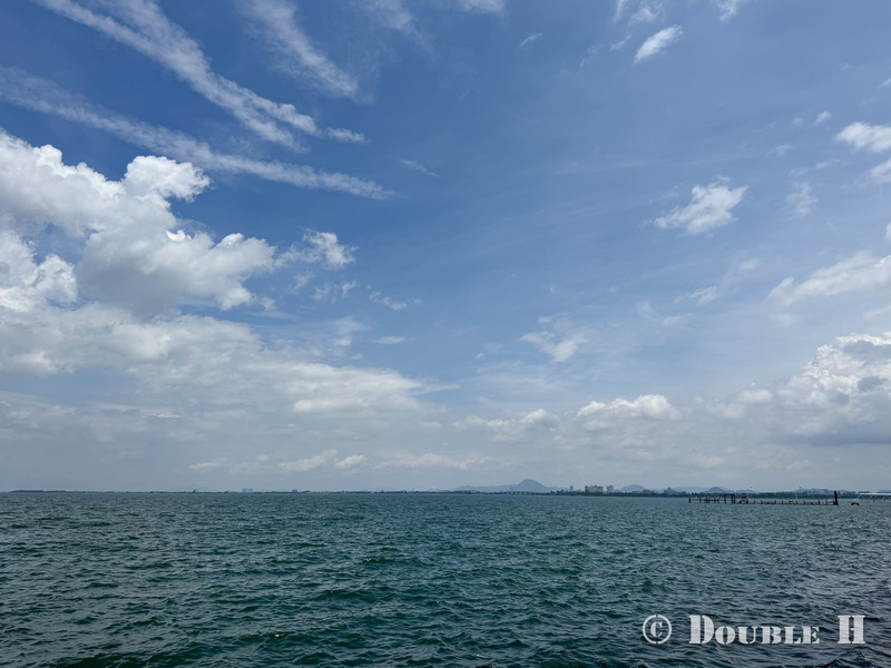 TediousPhoto20240718E_15ProMax