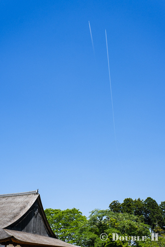 TediousPhoto20240512