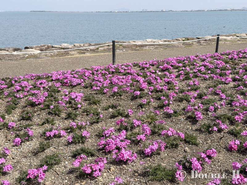 TediousPhoto20260325B
