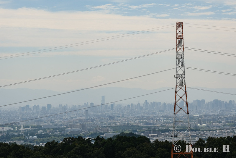 TediousPhoto20250608H