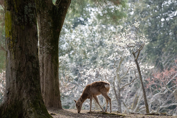 TediousDays20220325_10