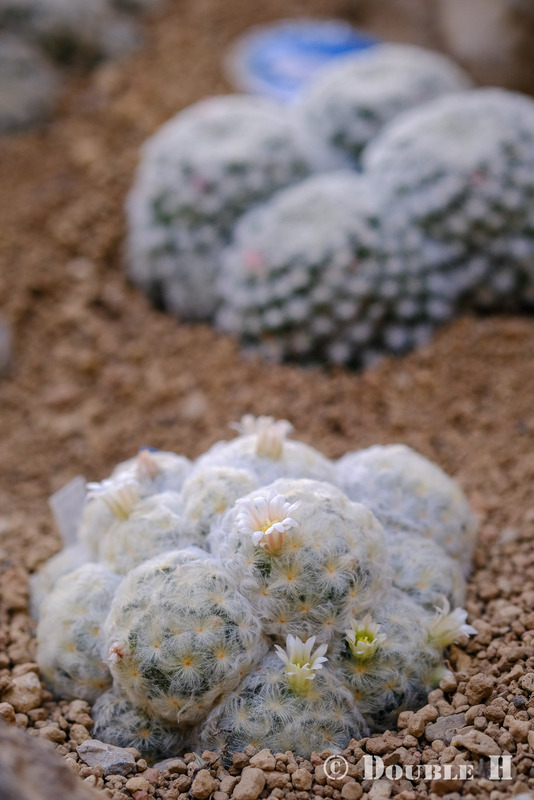 TediousPhoto20240104