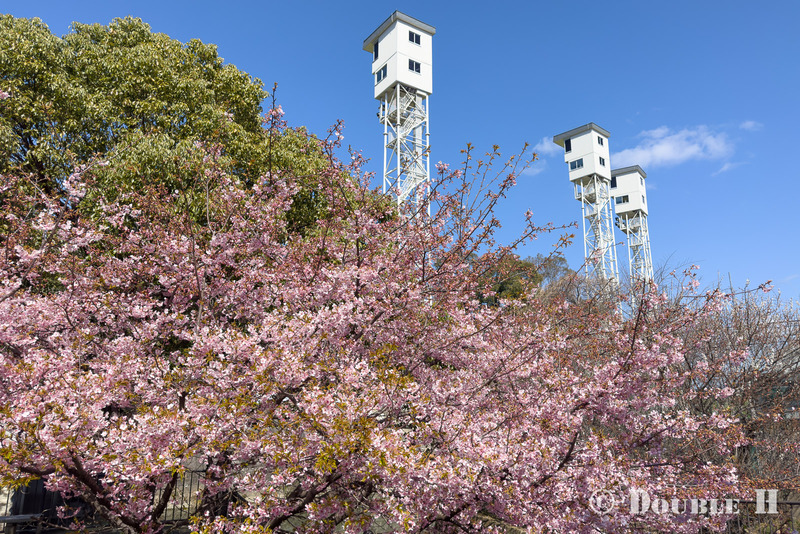 TediousPhoto20260313G