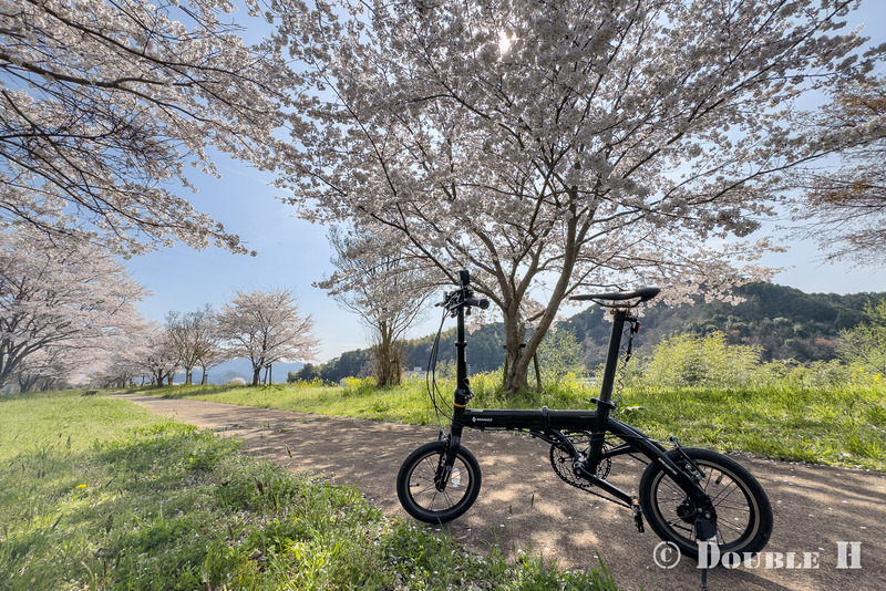 SakuraCycling2026HikamiKakogawa4