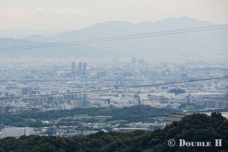 TediousPhoto20250608J