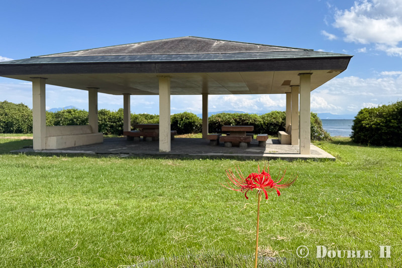 TediousPhoto20251008