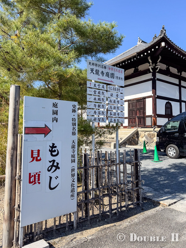 TediousPhoto20251115A