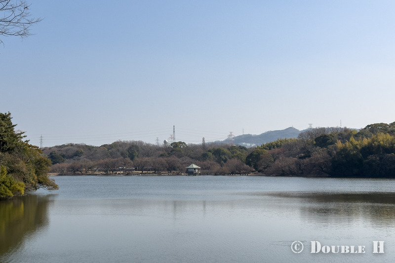 TediousPhoto20260219B