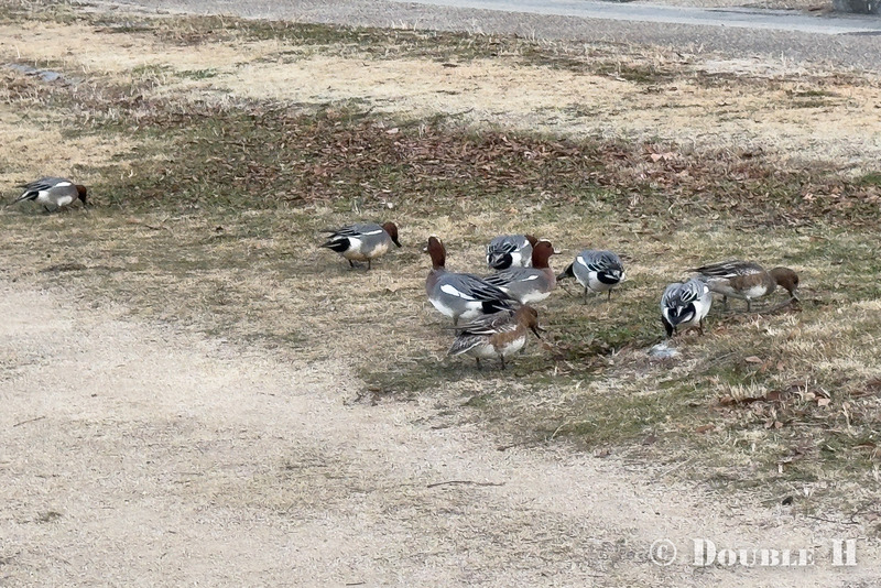 TediousPhoto20260117