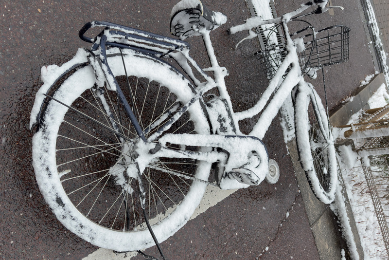 TediousPhoto20260208A