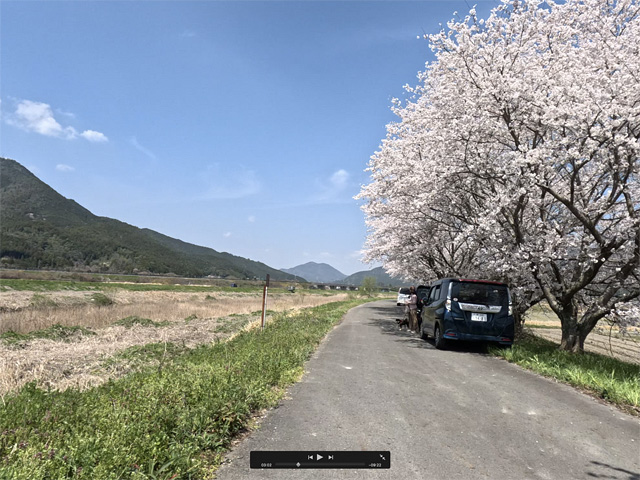 SakuraCycling2026HikamiKakogawaCapture06