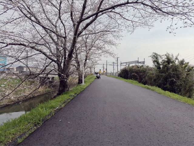 SakuraCycling2026SaboRiverCapture20