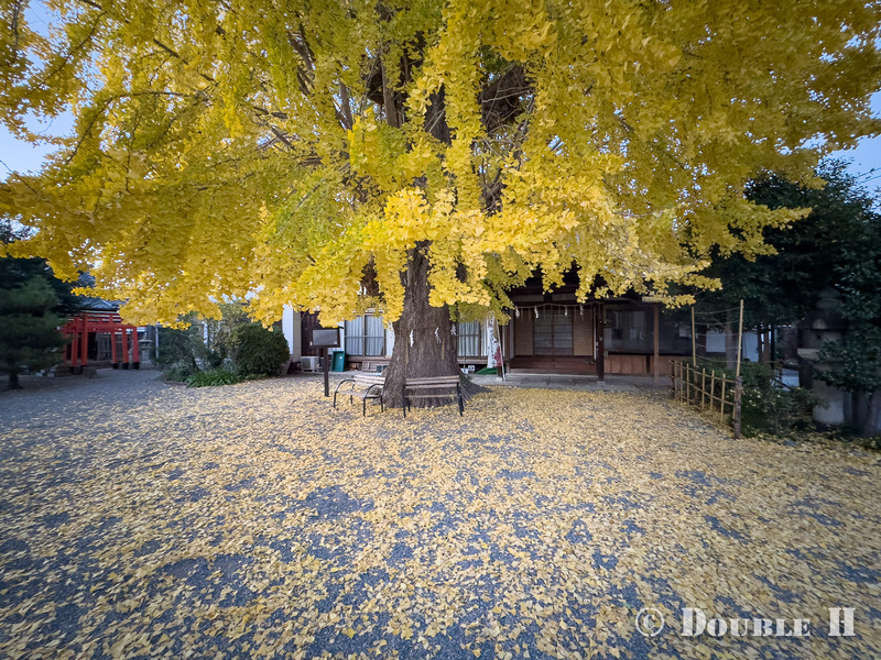 TediousPhoto20251203A