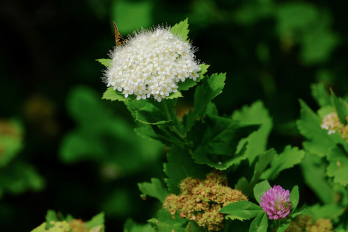 BlogUpload20140907_07_X-T1